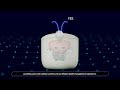 EMSSPA 대표 이미지