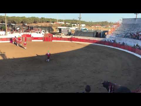 Forcados en Portugal