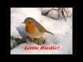 Pete Seeger: Little Birdie - Live, 1980. 