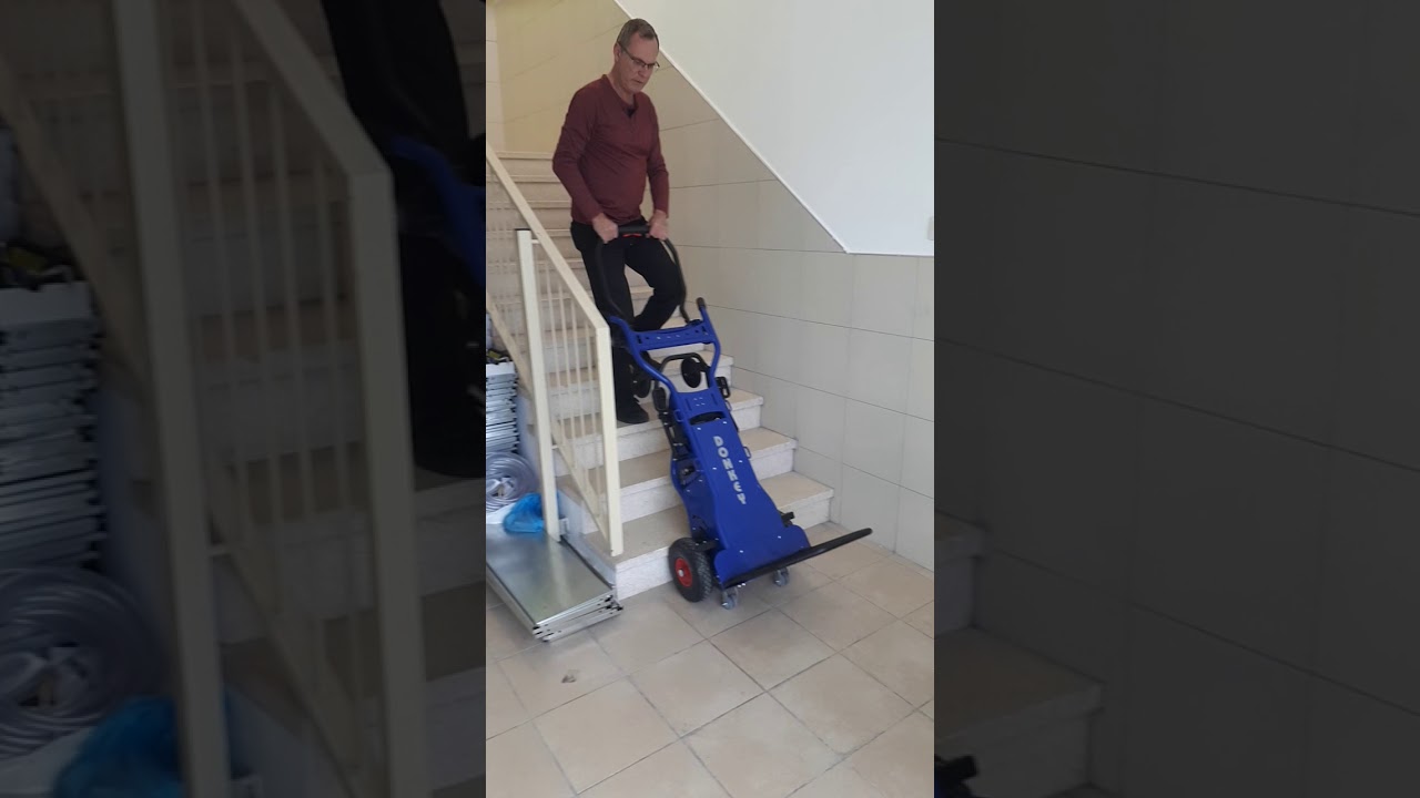 ���� ��� ������ ������� (Donkey) - ���� ���� ������� ������ ����� �����