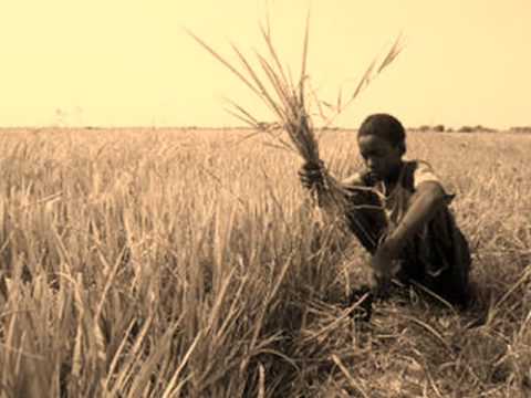 Youssou Ndour Chimes of freedom