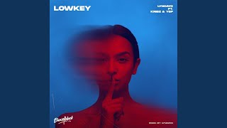 Lowkey Music Video