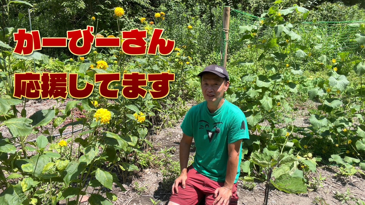 自然栽培の仲間を応援|かーびーさんのYouTubeチャンネル乗っ取り被害と今橋さんの呼びかけ