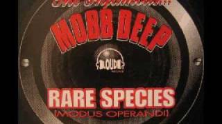 Mobb Deep - Rare Species