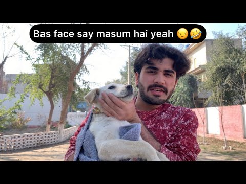 Dog ki vaccination karwa li 😍
