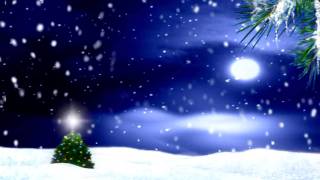 One Little Christmas Tree - song by Stevie Wonder HD