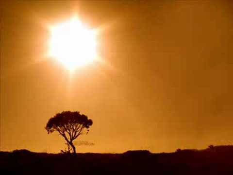 Claim , tDrop & Infinit - Mjau