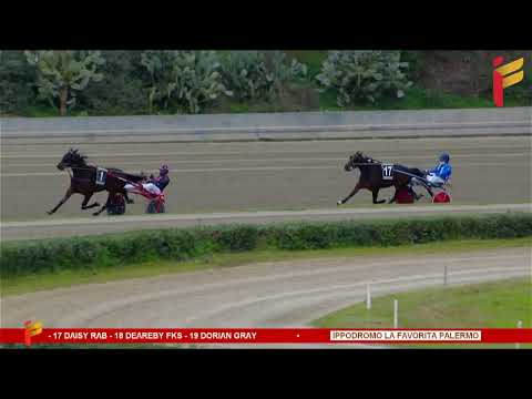 V corsa del 7 gennaio 2023 - 4 Anni - Metri 1600