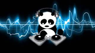 2011 Summer Panda Jam featuring The xx, Modeselektor, Kraftwerk, & Major Lazer