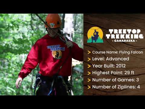 Treetop Trekking Ganaraska | Flying Falcon Course Tour