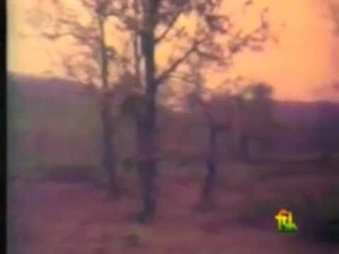 download lagu mp3 mp4 What Does It Mean When Time Stands Still, download lagu What Does It Mean When Time Stands Still gratis, unduh video klip What Does It Mean When Time Stands Still