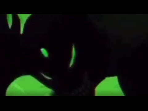 mlody godfist - trust nobody