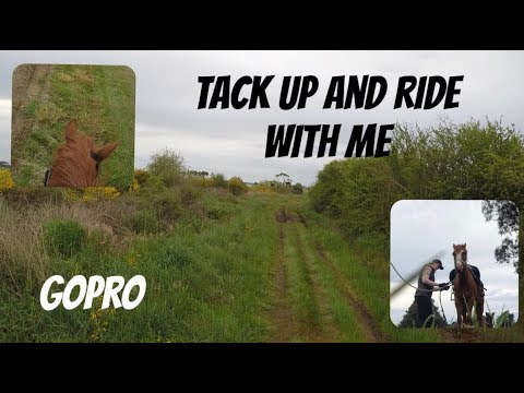 TACK UP AND RIDE WITH ME #1 // Riding around the roads with GoPro