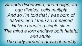 Copyright - Transfiguration Lyrics