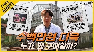 다육식물 시세 #2 (수백만원 다육 누가, 왜 사는걸까?) 다육이 재테크