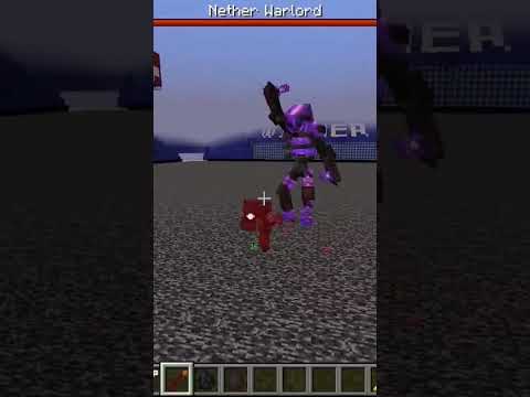Nether Warlord vs Mutant Wither Skeleton X