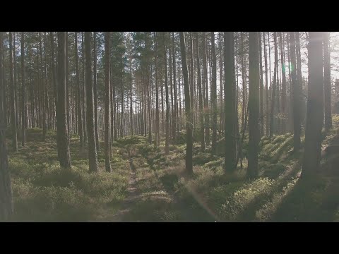 THEUNS JORDAAN - Honger Hart