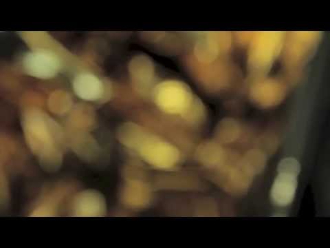 'HIDDEN BODY' Teaser