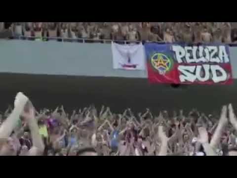 PELUZELE SUD ȘI NORD