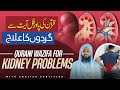 Gurde Kia Kaam Karte Hain Gurde Kay Har Tarah Ke Amraz Ka Qurani Wazifa Kidney Stone Dialysis