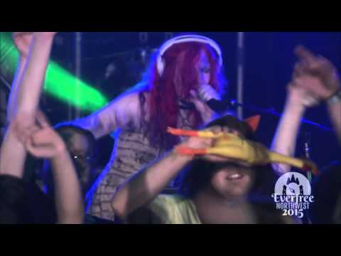 Ponystock 2015 - DJ.TeMp3st