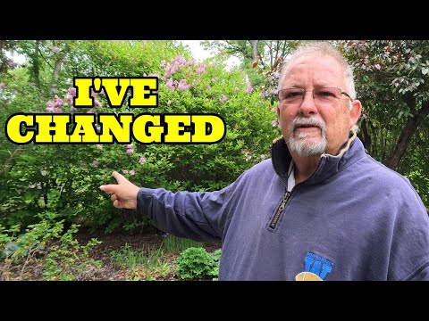 After 11 Years of retirement: I LOOK BACK at my 1st Six Months