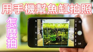 用手機拍攝魚缸的技巧 | How to take aquarium photos with your smart phone