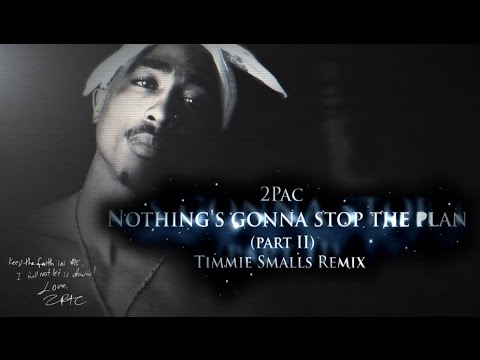 2Pac - Nothing's Gonna Stop The Plan (Part II)(Timmie Smalls Remix)