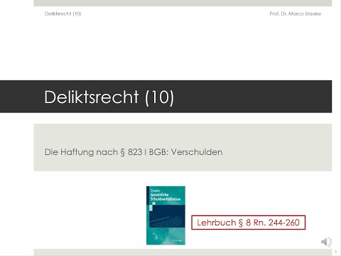 Gesetzliche Schuldverhältnisse - Deliktsrecht (10)
