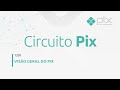 Circuito Pix Visão Geral Do Pix