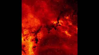 Alive (Prod. Young Taylor) [Audio]