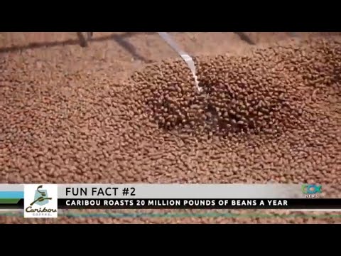 Assuntos de negócios: curiosidades sobre o café Caribou