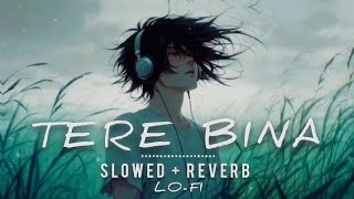 Download lagu 🌙🎧 Tere Bina 💔 | Lofi Song \[Slowed   Reverb\] 🥀✨ | Lofi Night Beats 🌌🎶 #Lofi #TereBina  mp3