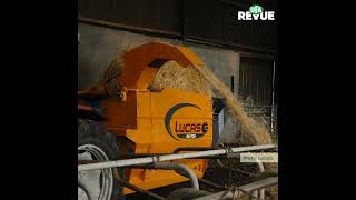 Paillage simplifié des logettes et couches profondes