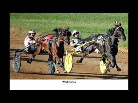 Prix d'Amérique Opodo 2017