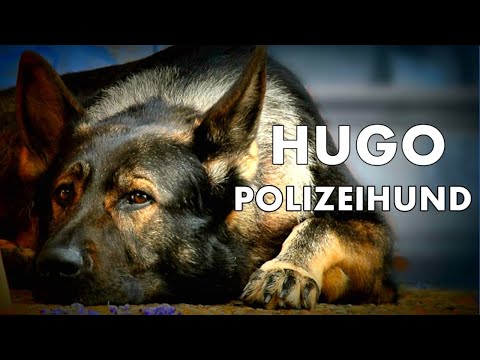 Stephanie und der Polizeihund Hugo 👮‍♀️🐕🚓