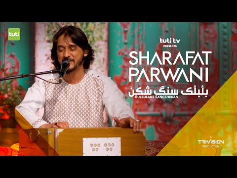 Bulbulake Sangshekan - Sharafat Parwani - Official Video / بلبلک سنگ شکن - شرافت پروانی