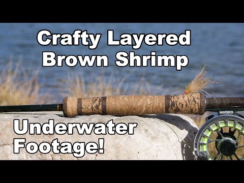 Crafty Layered Shrimp