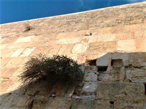 VESHUV ITCHEM (With You Again) by Ilanit