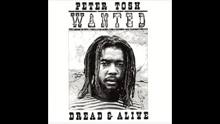 Peter Tosh - Nothing But Love Instrumental