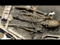 Giant human skeleton found in Saudi Arabia 