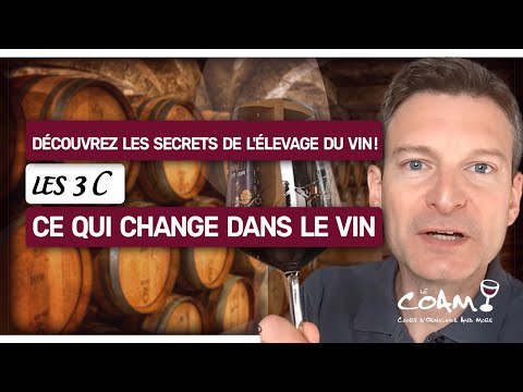 Découvrez comment l'élevage transforme le vin, avec "les 3 C"