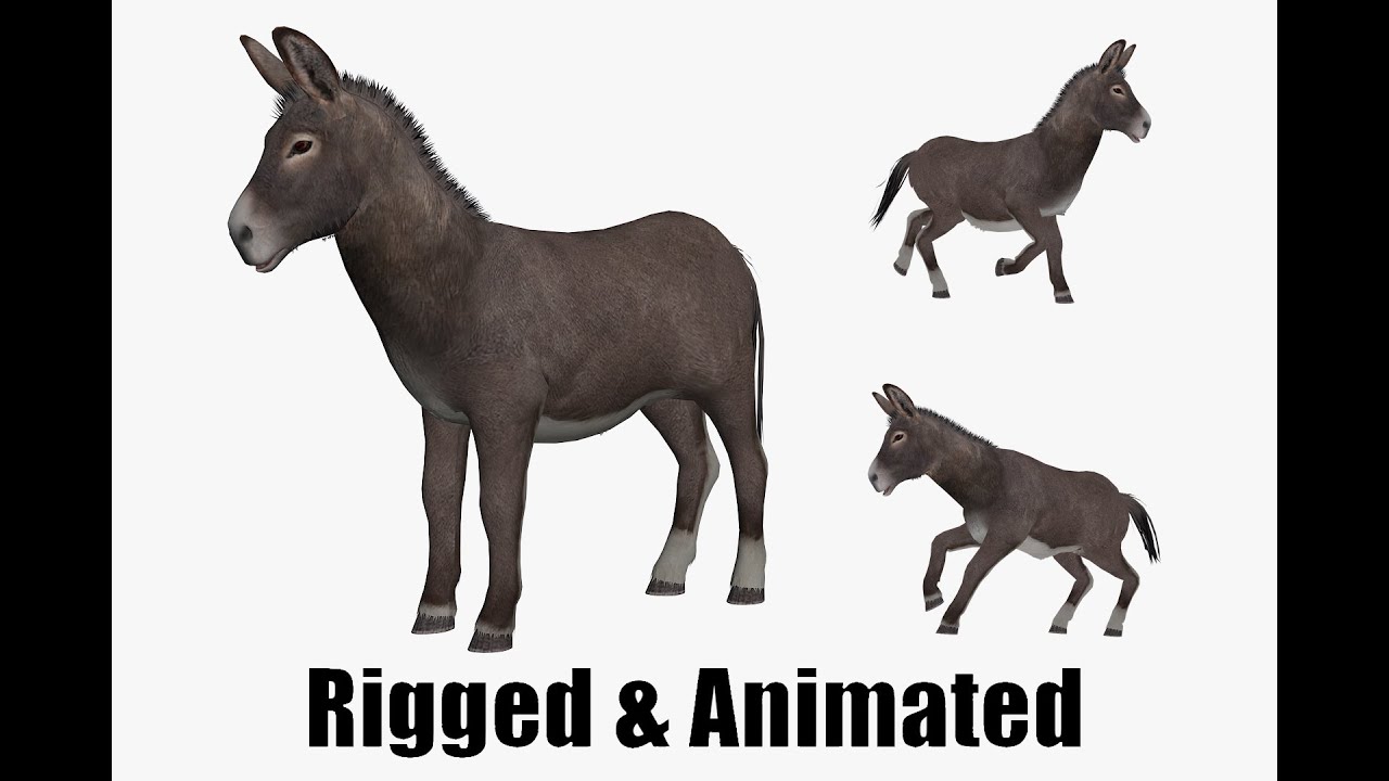 Animated donkey 3D Model