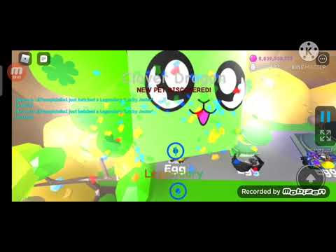 Bgs Update 72 : Hatched Clover Dragon!