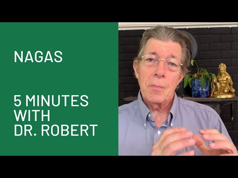 Nagas: 5 Minutes with Dr. Svoboda