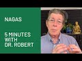 Nagas: 5 Minutes with Dr. Svoboda
