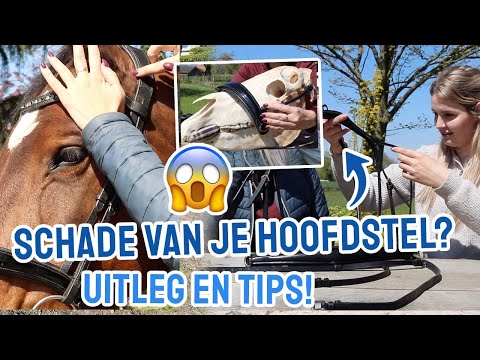 , title : 'Schade van een hoofdstel?! Uitleg over de perfecte pasvorm!'