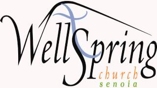 preview picture of video 'WellSpring Senoia Service   20131124   Sermon'