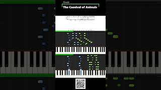 Download lagu 発表会おすすめ【「動物の謝肉祭」より フィナーレ】ピアノ連弾 サン=サーンス The Caenival of Animals~Finale~Saint Saens #shorts mp3 Download lagu 発表会おすすめ【「動物の謝肉祭」より フィナーレ】ピアノ連弾 サン=サーンス The Caenival of Animals~Finale~Saint Saens #shorts mp3