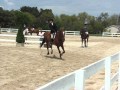 Blue Ribbon In The Mini Medal Aug 19 2012